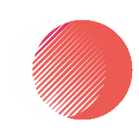 rankwithseo.org